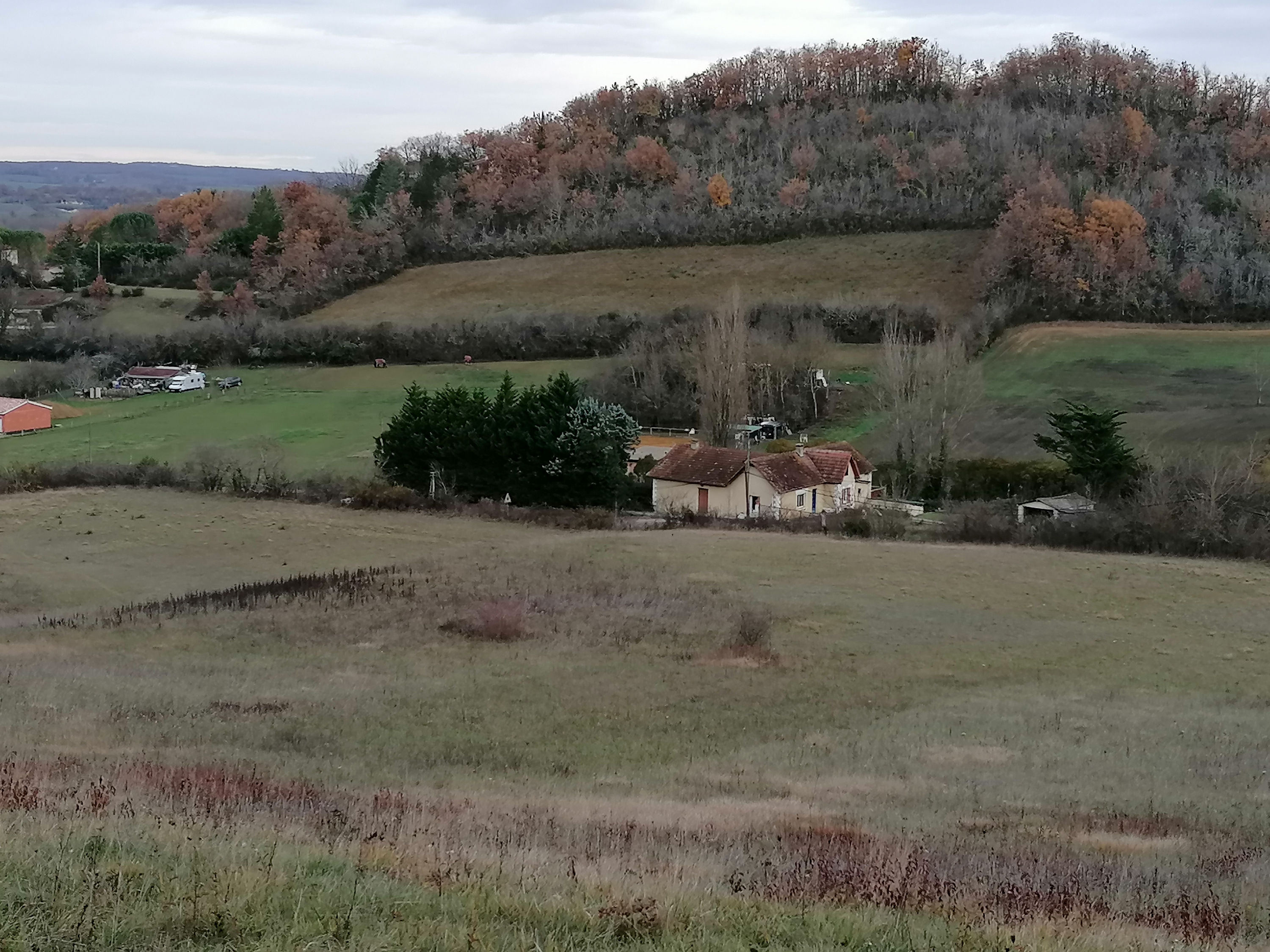 Terrain à vendre
