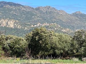 achat Terrain à vendre 