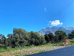 Dans le village de calenzana, lots de terrains…