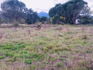 EXCLUSIVITE TERRAIN AGRICOLE DEM²
 HONORAIRES A LA CHARGE…