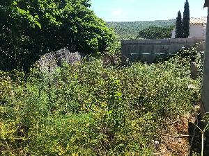 Maison avec jardin à Serraggia