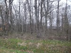 Passez de l'idée au projet avec ce terrain sur la commune…