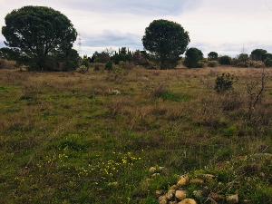 TERRAIN AGRICOLE DE 1458 M²