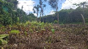 TERRAIN DE 1584M² SUR GOURBEYRE
