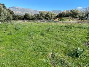 vente Terrain à vendre  ()